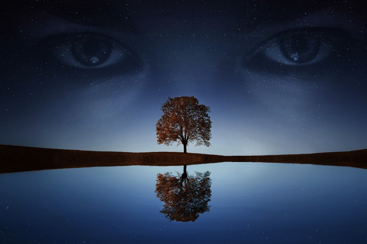 A single tree near a body of water with a pair of eyes above it