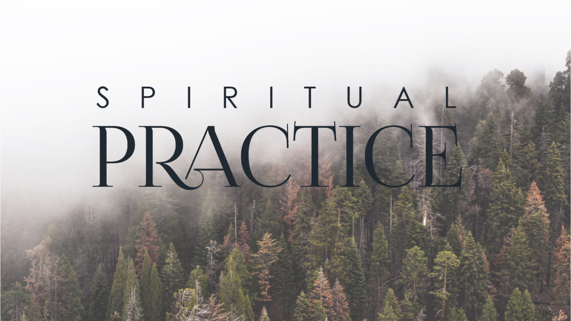 How To Experience Practicing Spirituality, Awakening And Enlightenment